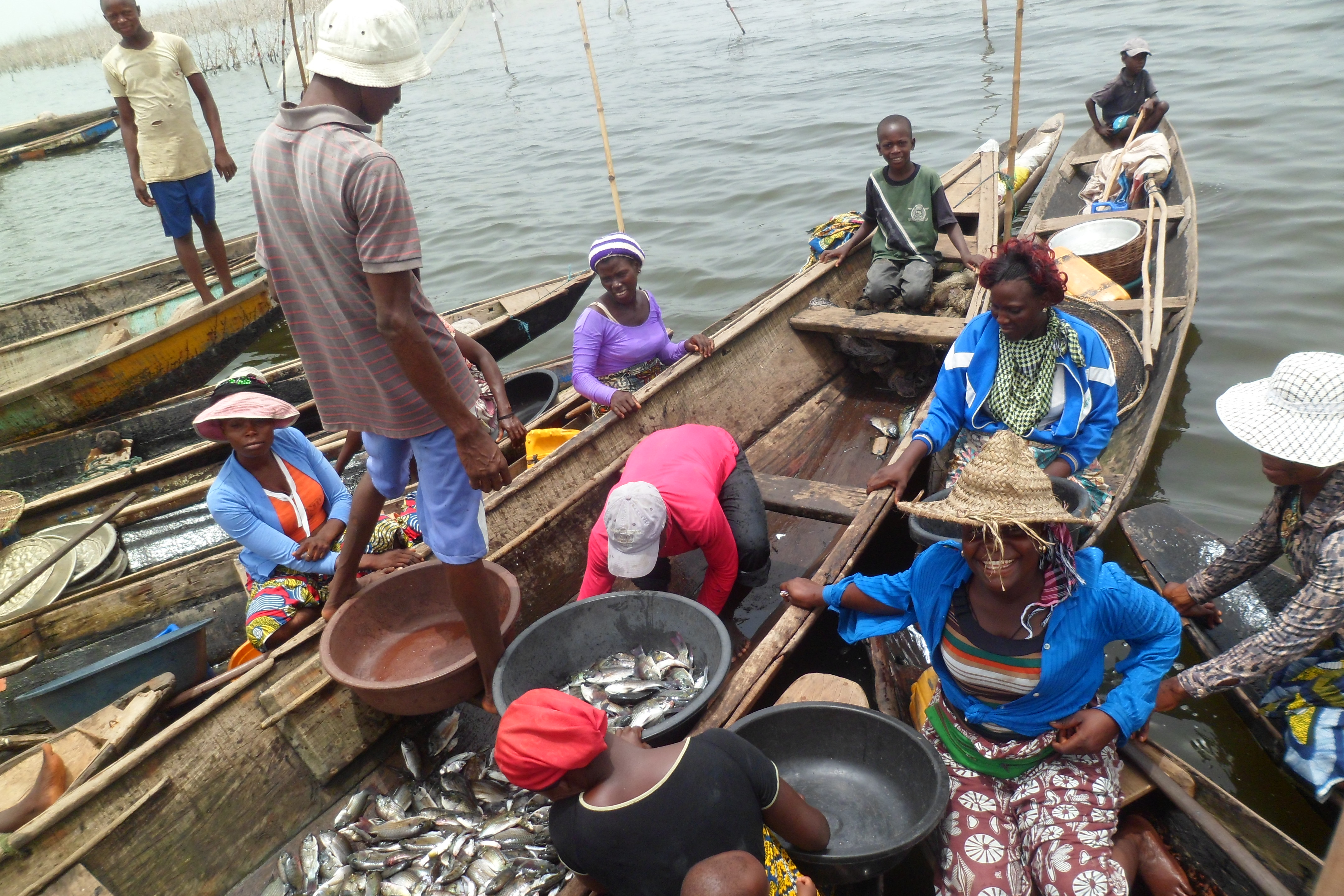 Engaging policy makers in the use of evidence in agriculture: Case study in inland fishery in Benin