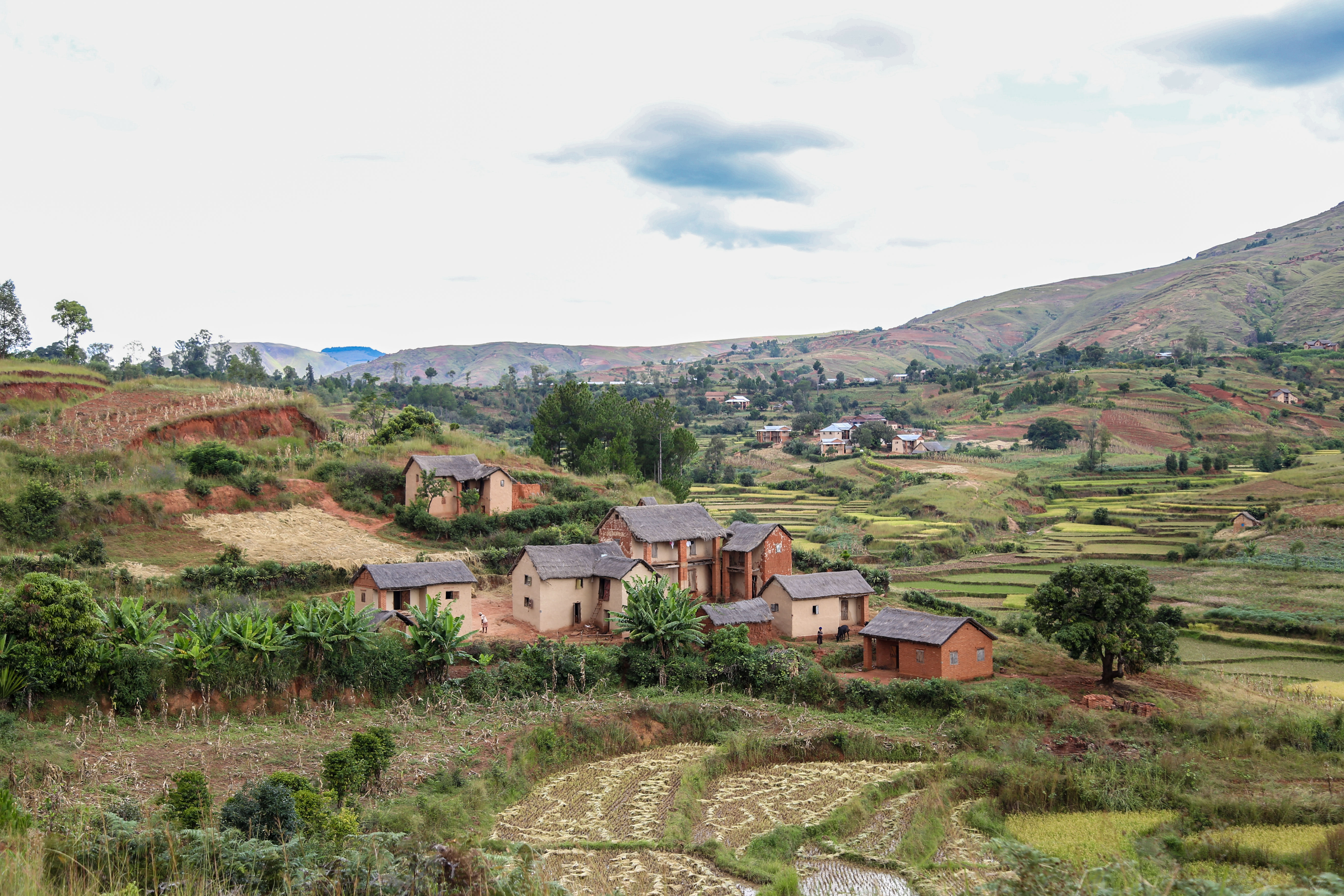 Transformative Action Learning in Navigating the Evidence to Policy Landscape: Lessons from the Ten Years